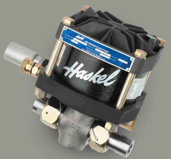 Suspendisse molestie sed