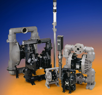 Suspendisse molestie sed