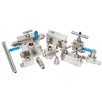 Suspendisse molestie sed